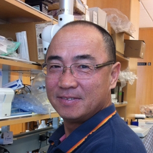 Picture of  Bo  Jiang