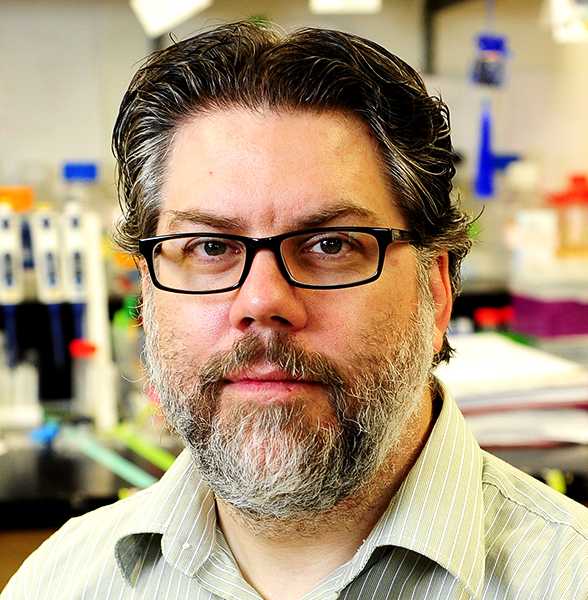 Picture of  Scot Stone